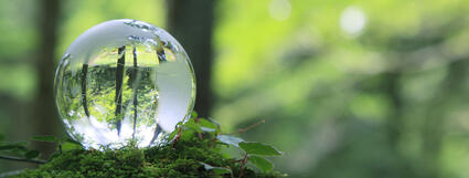 glass-globe-green-1320x500