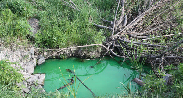 Kaukolämmön vihreä vesi